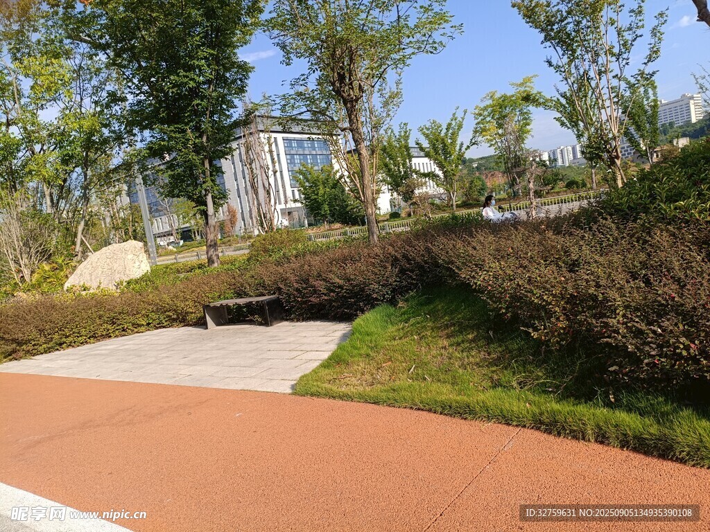 城市公园中的优美步道景观