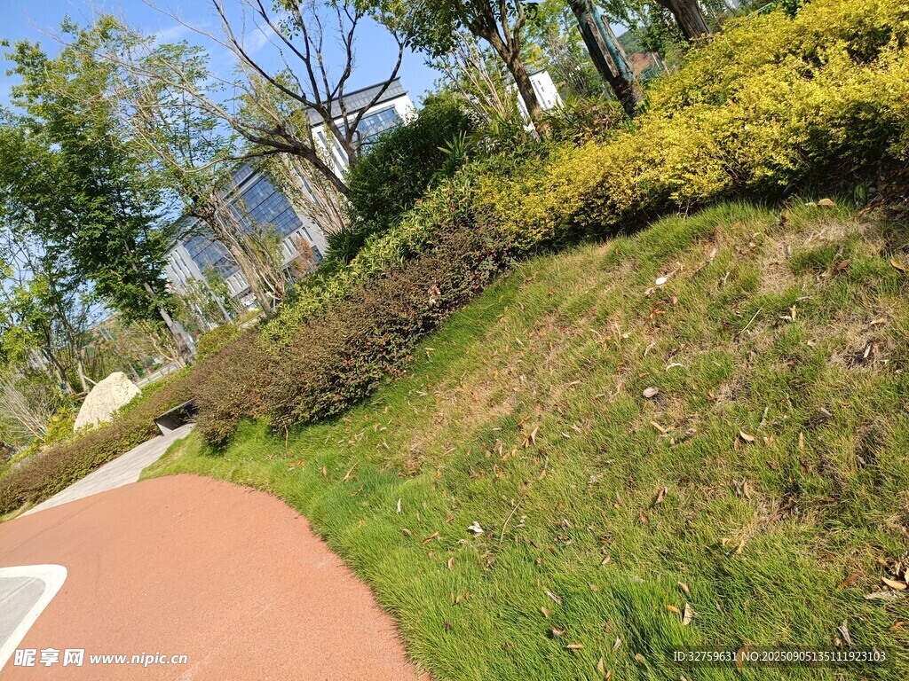 公园中的彩色步道与绿植