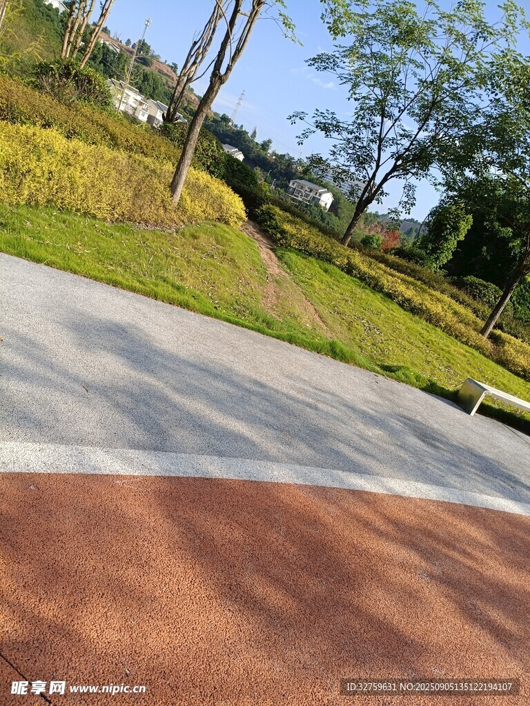 彩色步道旁的绿意景致