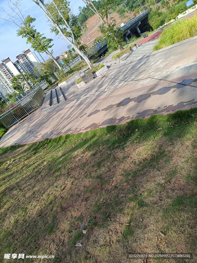 户外公园草地与步道景观