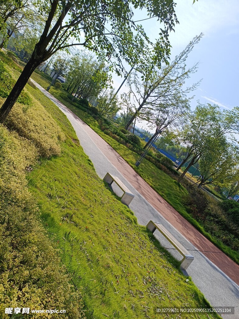 公园小径旁的绿意景致