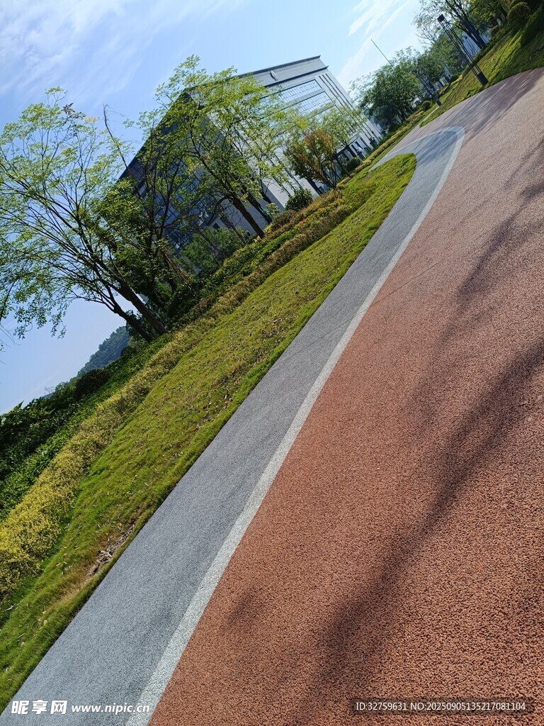 户外彩色步道与绿植景观
