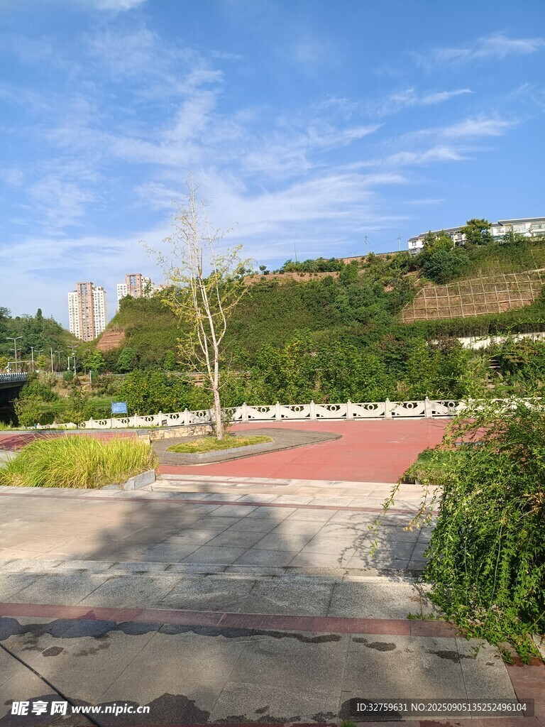 户外开阔美丽景观