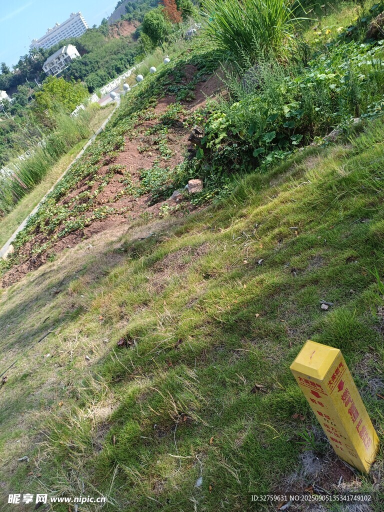 户外草地旁的土坡场景