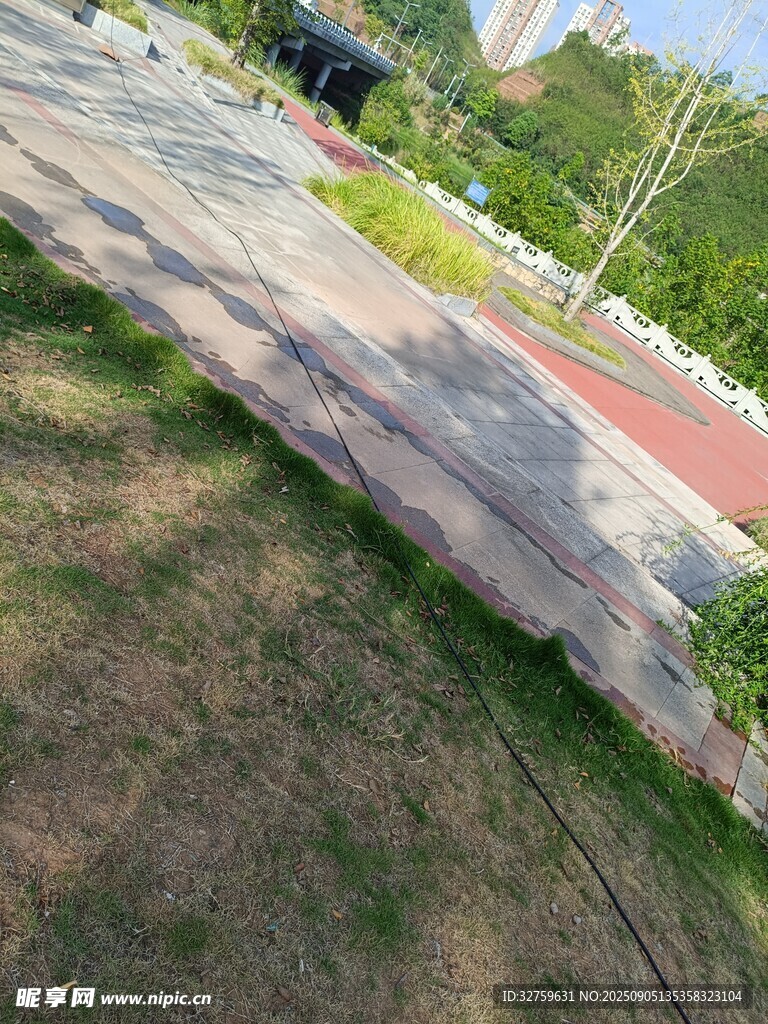户外道路旁的草地与石板