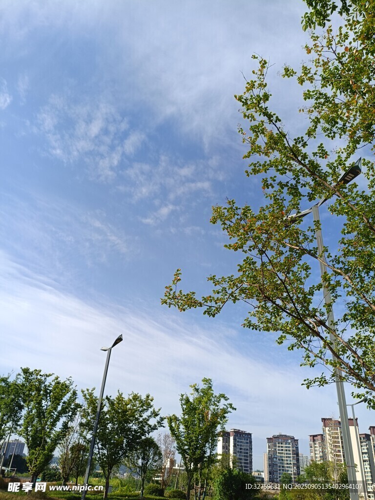 城市蓝天绿树美好景象