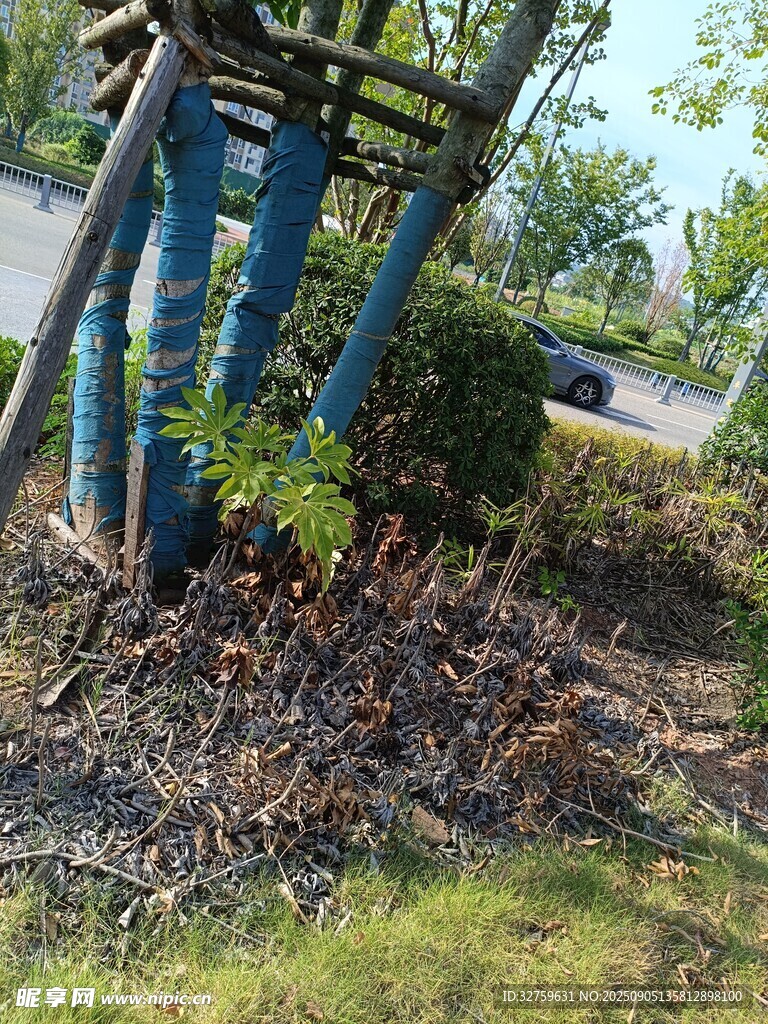 户外蓝色结构与落叶景观