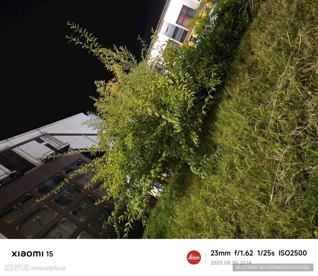 夜间绿植旁的建筑物一角