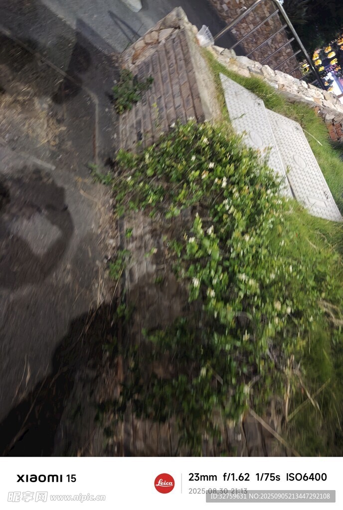 墙边绿植景观