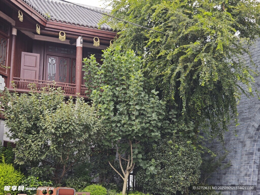中式庭院绿植环绕景致