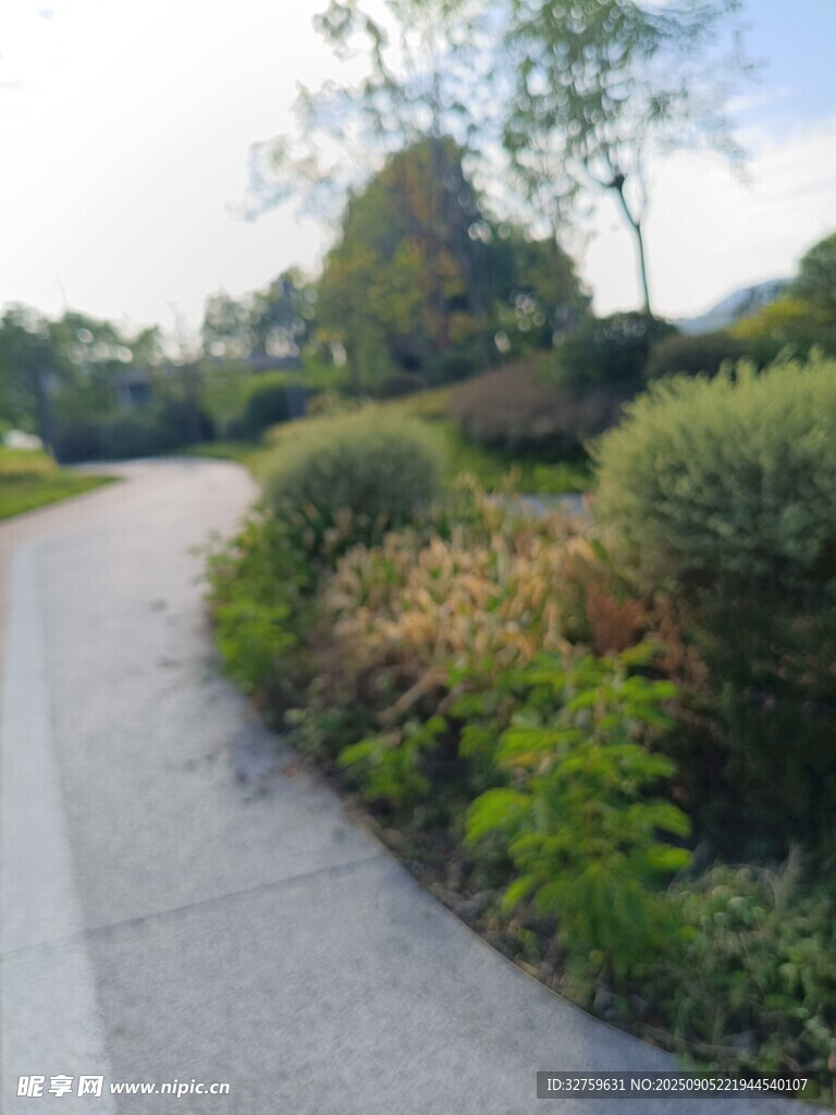 乡村小路旁的绿植景观