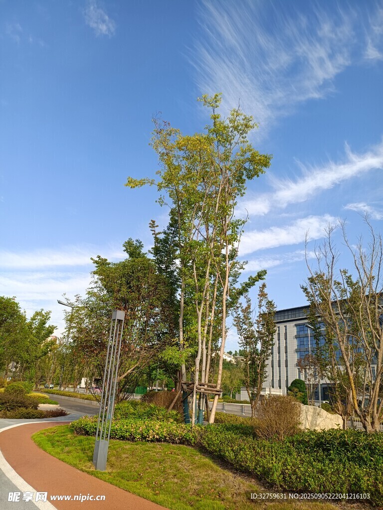 城市中的美丽绿化景观