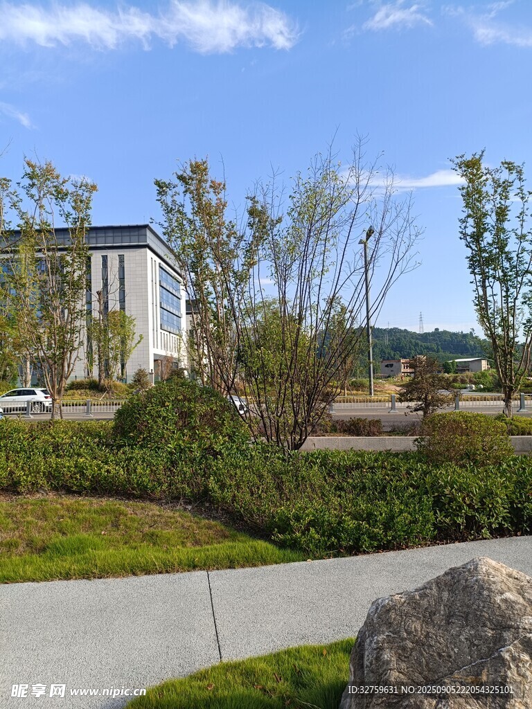 现代建筑旁的绿植景观