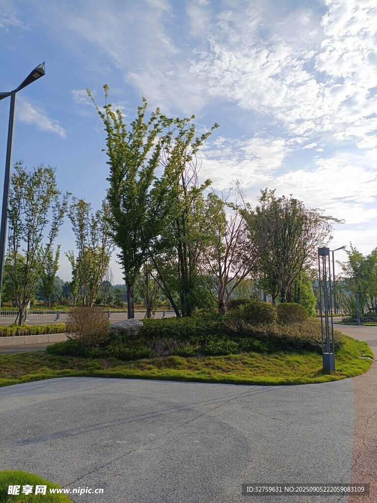 城市道路旁的绿化景观