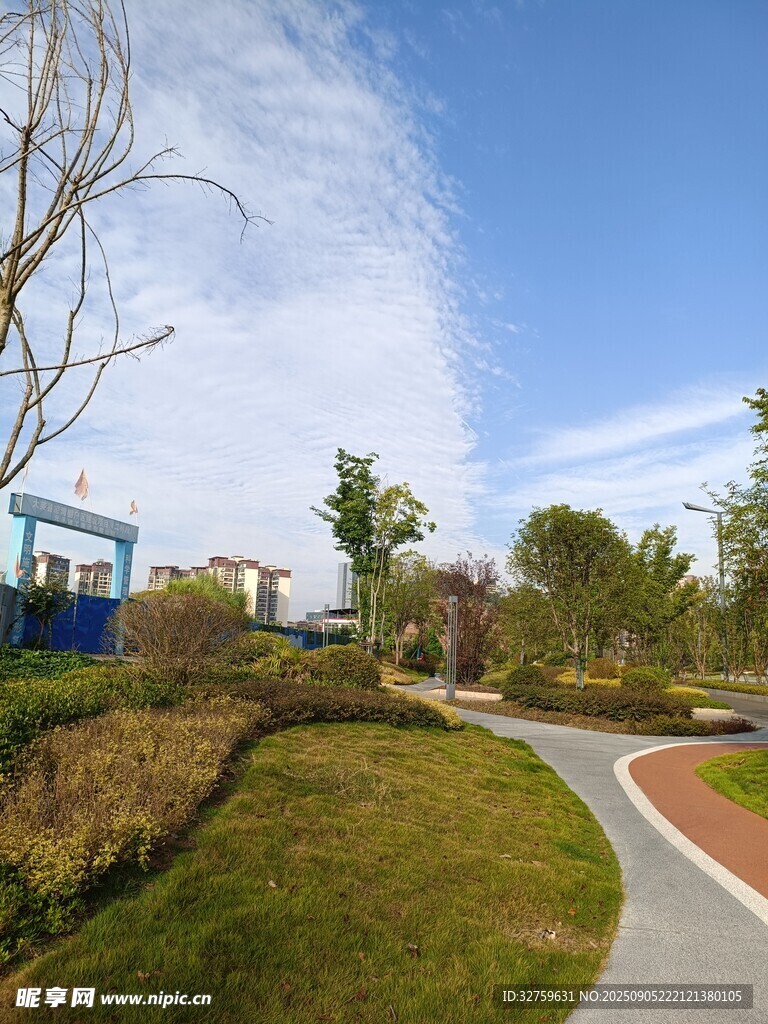 城市公园优美小径风景