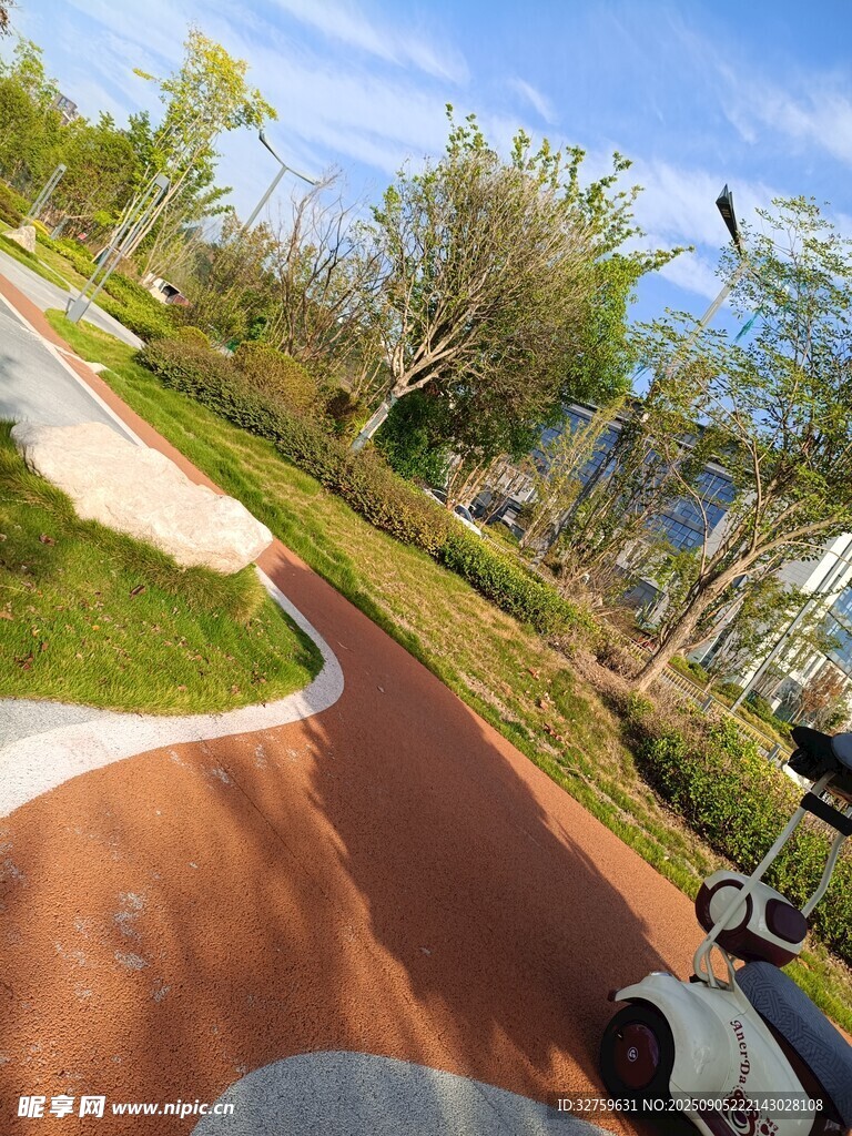 城市骑行道的惬意风景