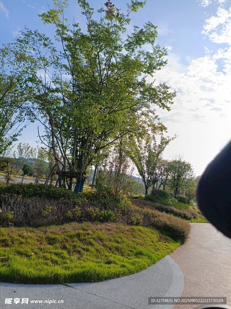 城市中的绿意景观角落