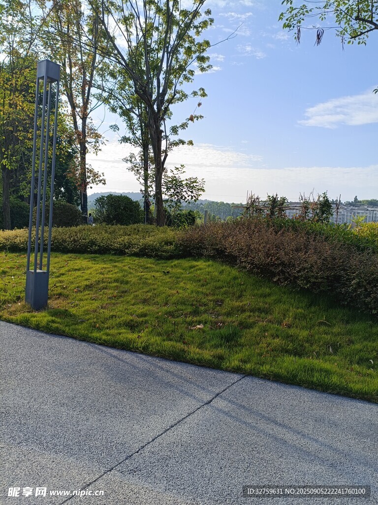 路边绿意盎然的自然景致