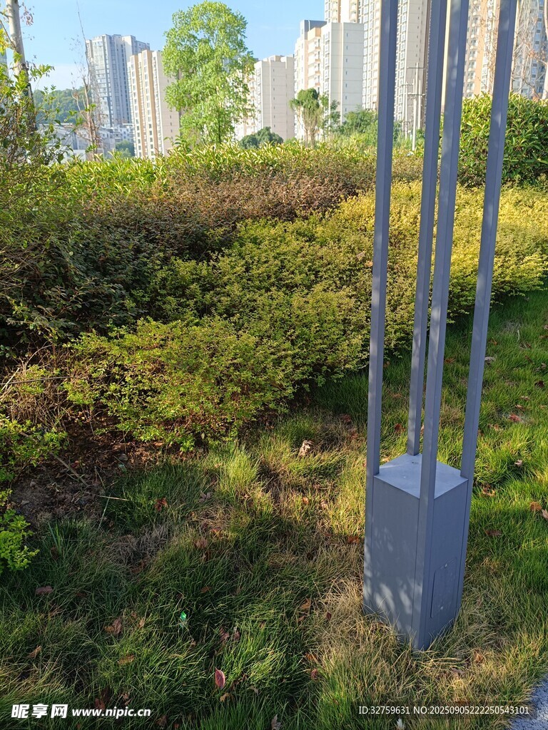 户外金属杆立于绿植间