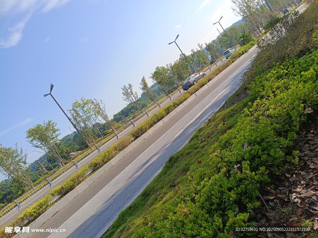 乡村公路旁的绿意风景
