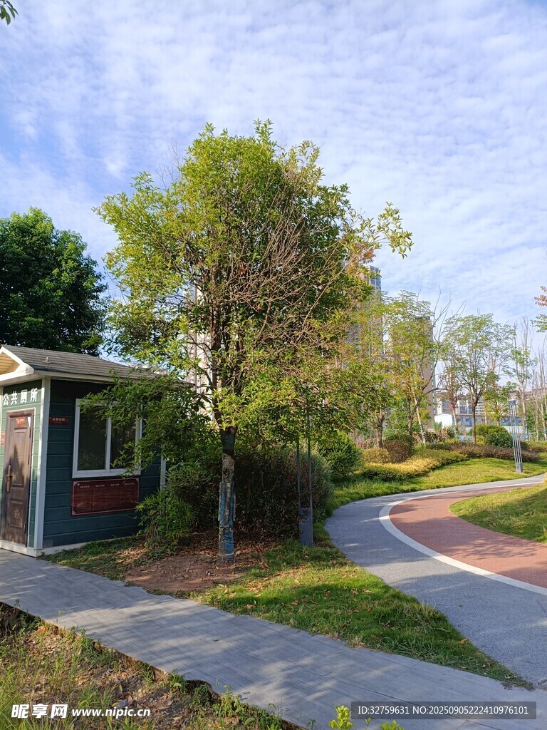 宁静街边小屋与绿树景观