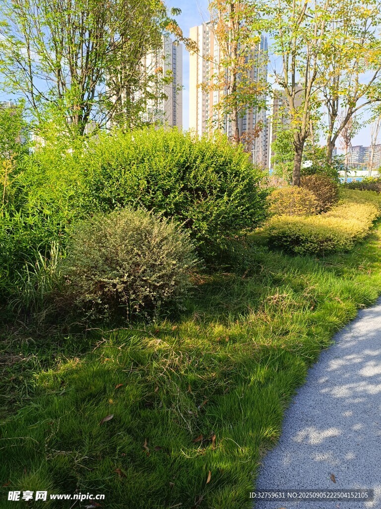 春日绿意盎然的户外景致