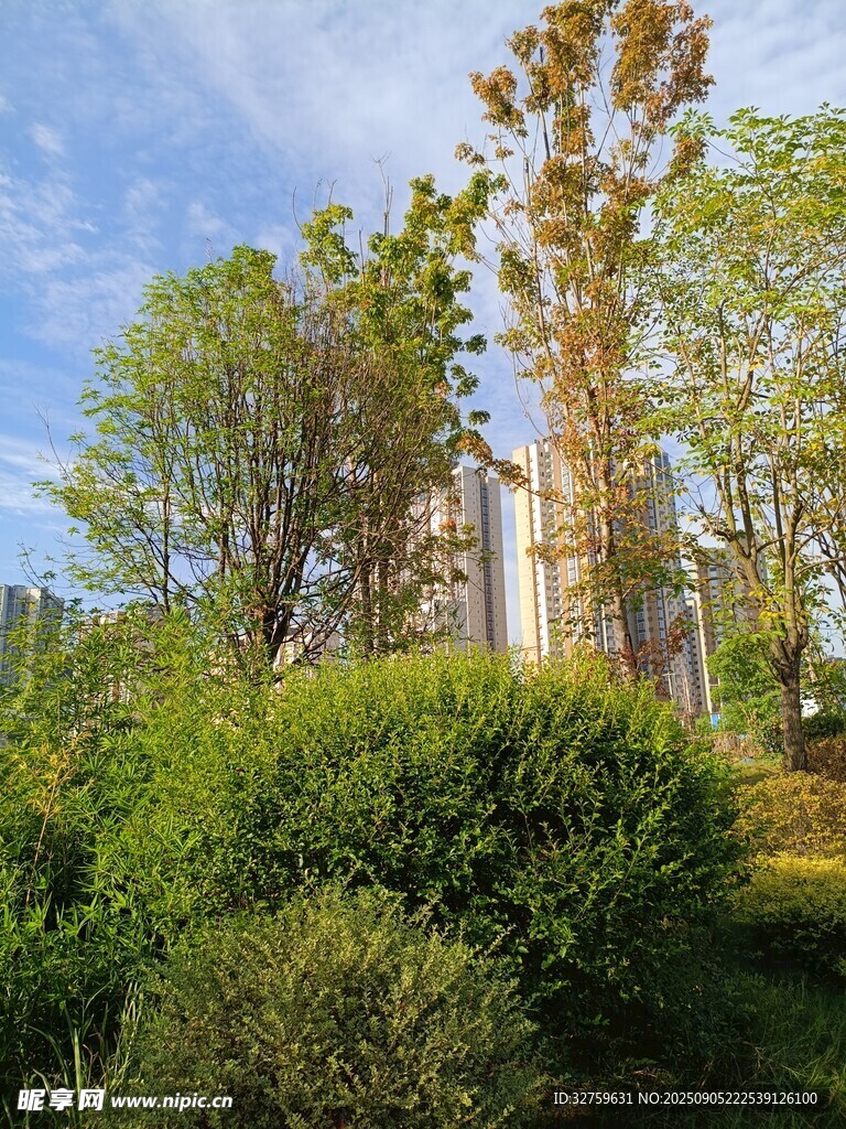 户外绿植环绕的建筑景观