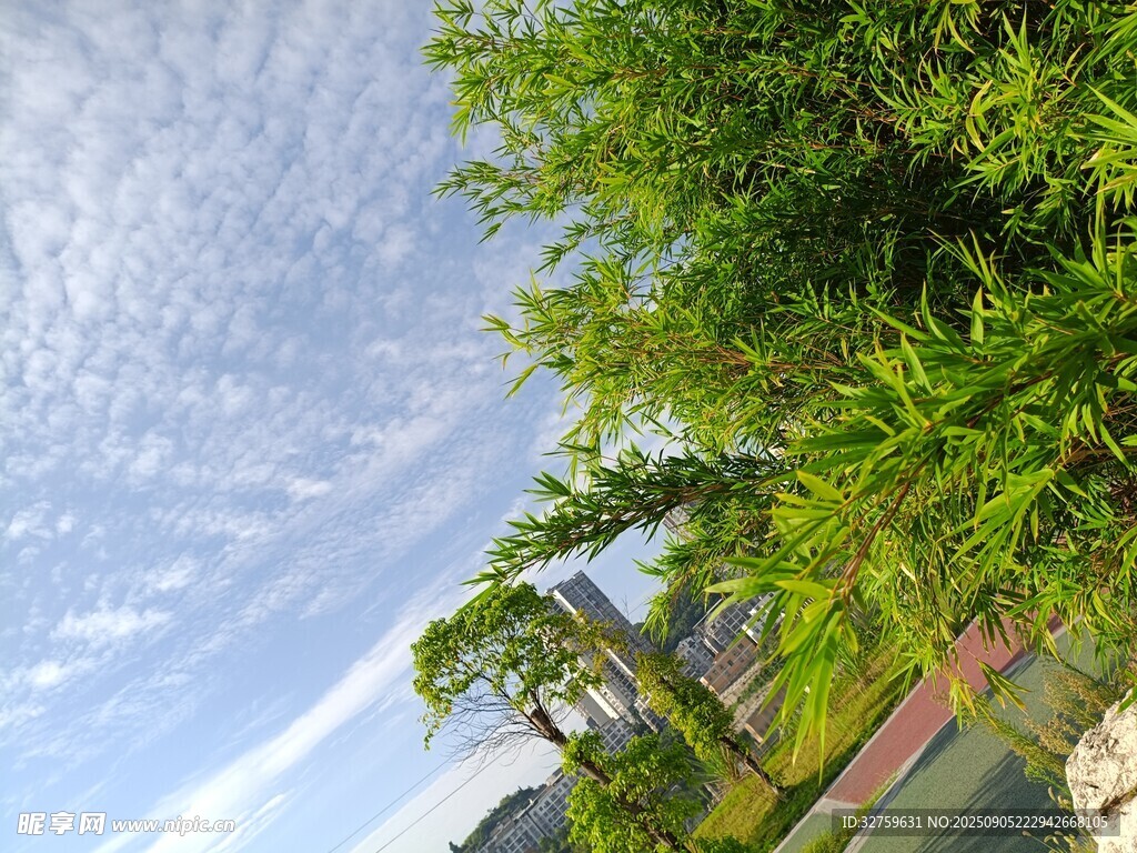 湖畔绿树蓝天美景