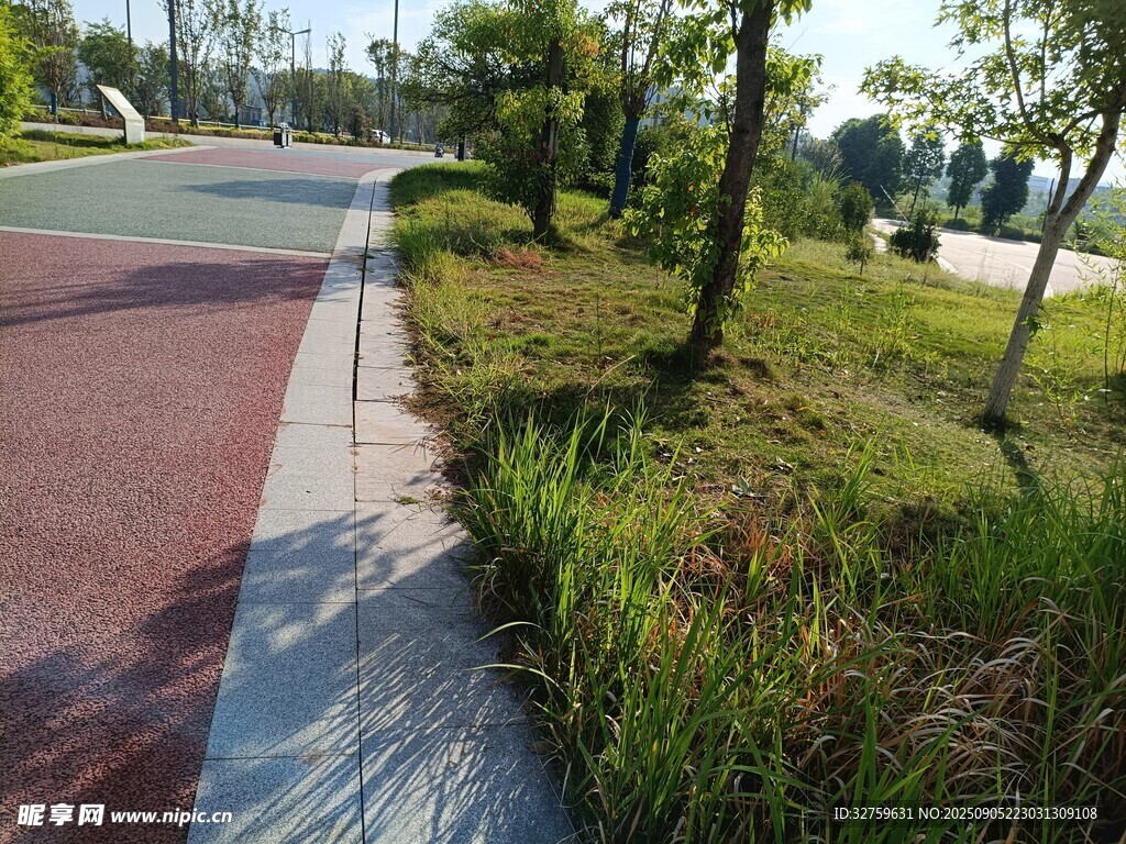 路边绿植与彩色步道景观