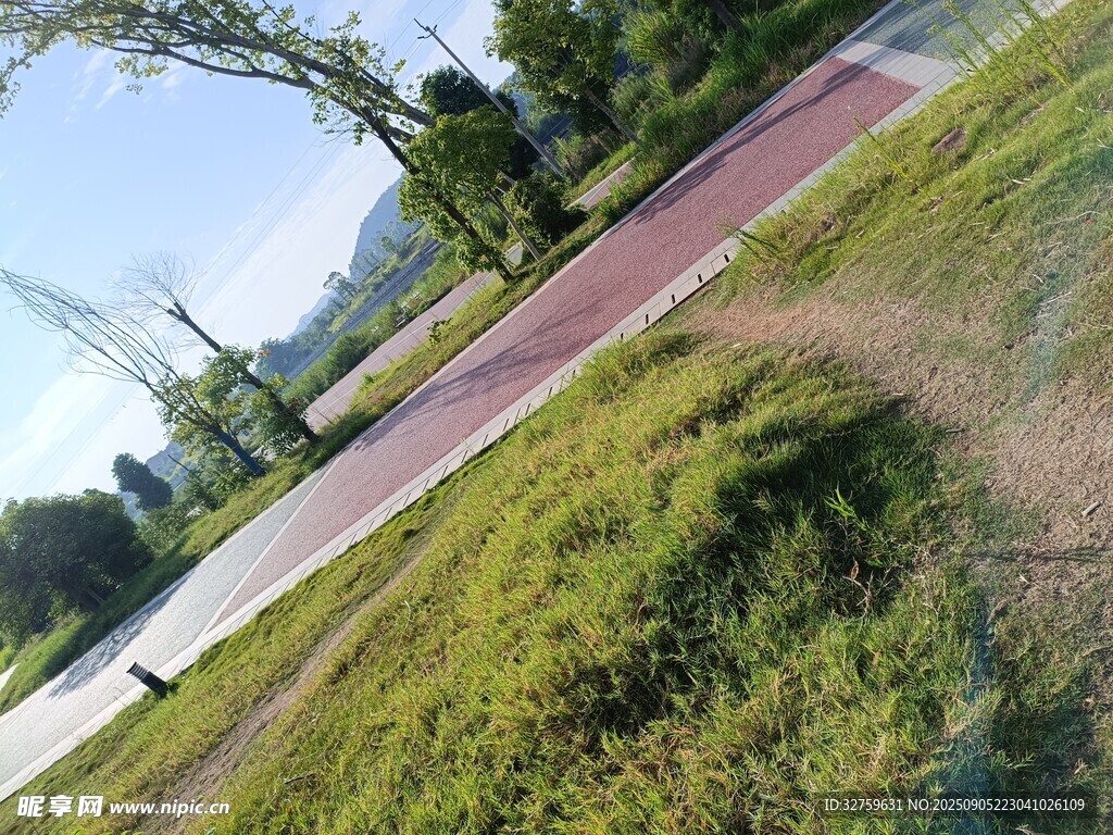 乡村小路旁的绿意风景