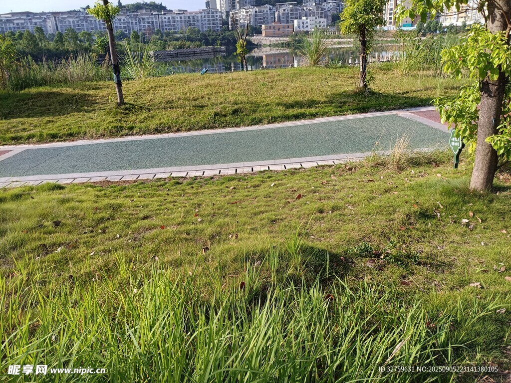 户外草地旁的平坦道路