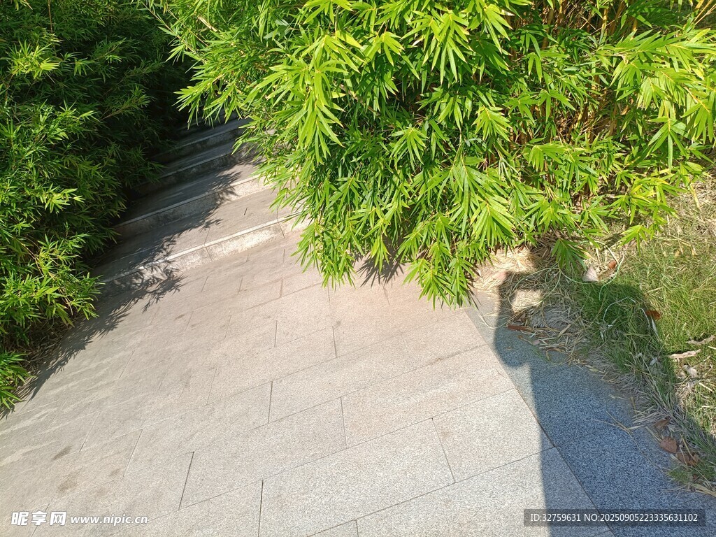 林间小道