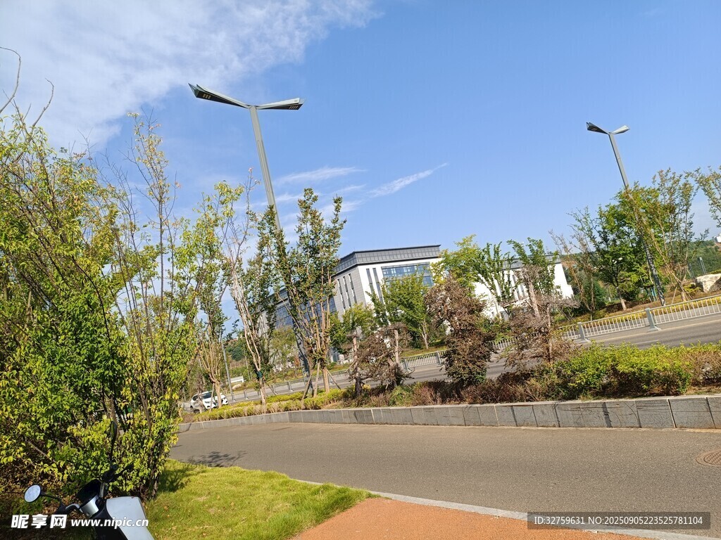 城市路边风景