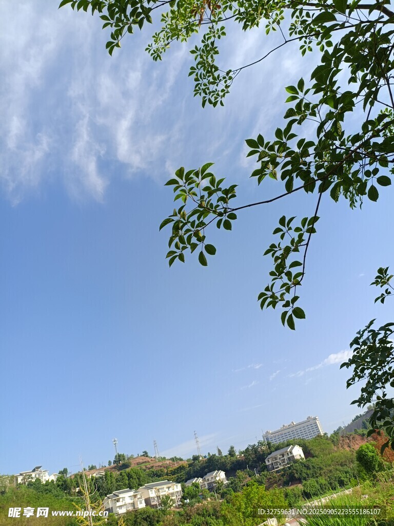 蓝天绿树间的美好景致