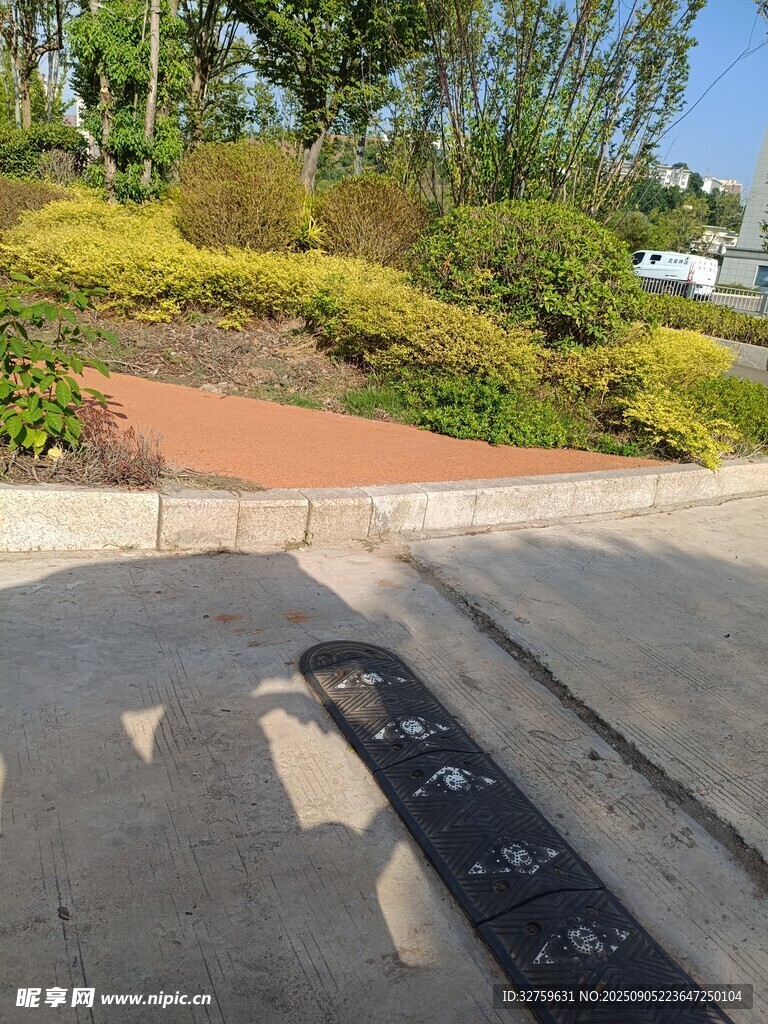 城市街边的绿植景观