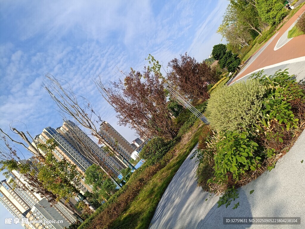 城市街边绿植景观