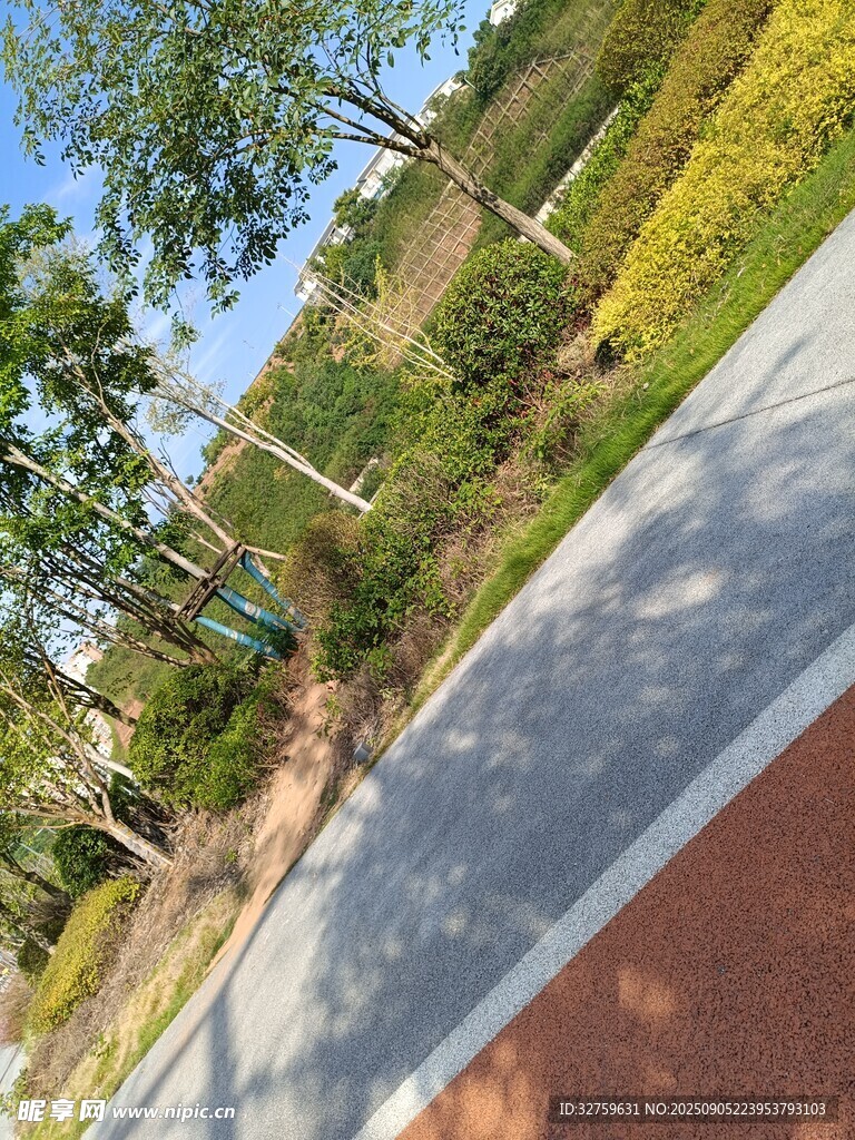 户外绿树环绕的休闲步道