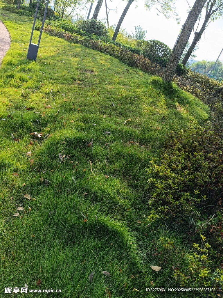 春日翠绿草地自然美景