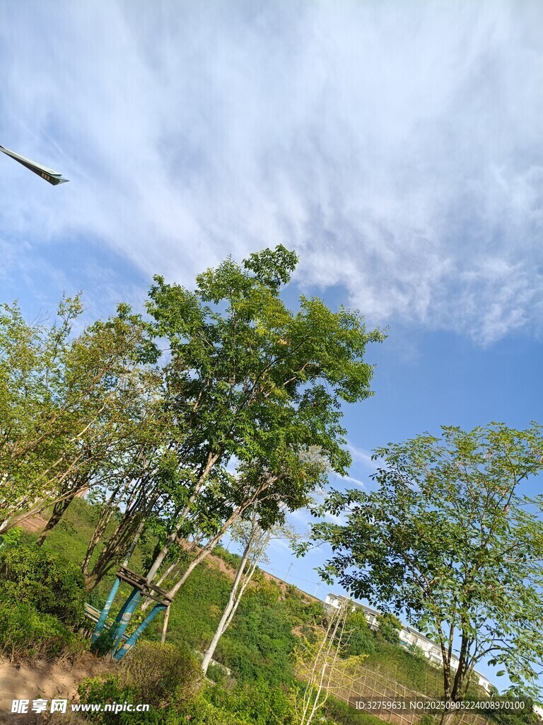 蓝天绿树自然风光图