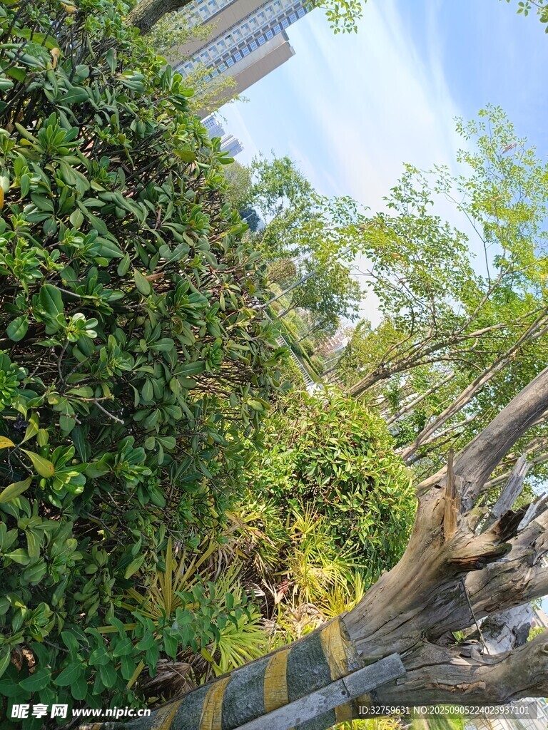 绿植环绕的户外建筑空间