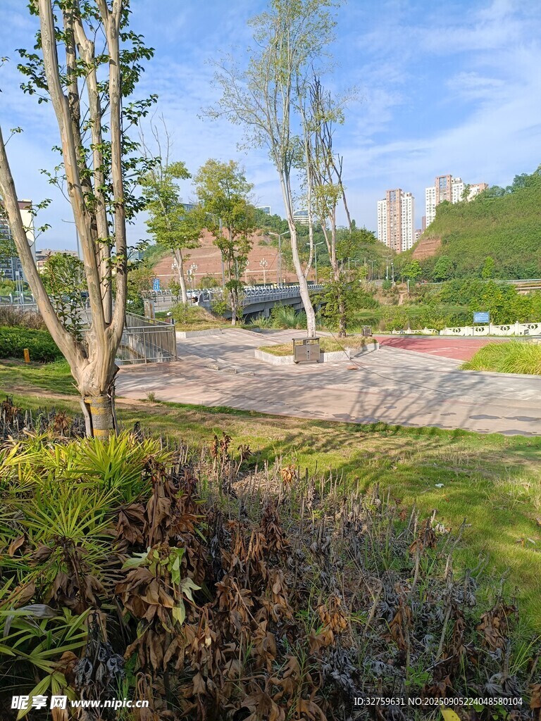 城市中的静谧绿化景观