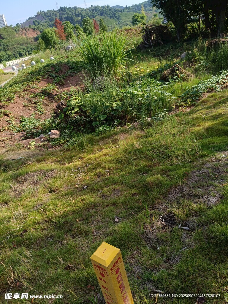 户外草地旁的黄色立柱