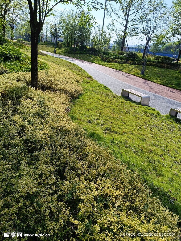 春日路边绿意盎然景致