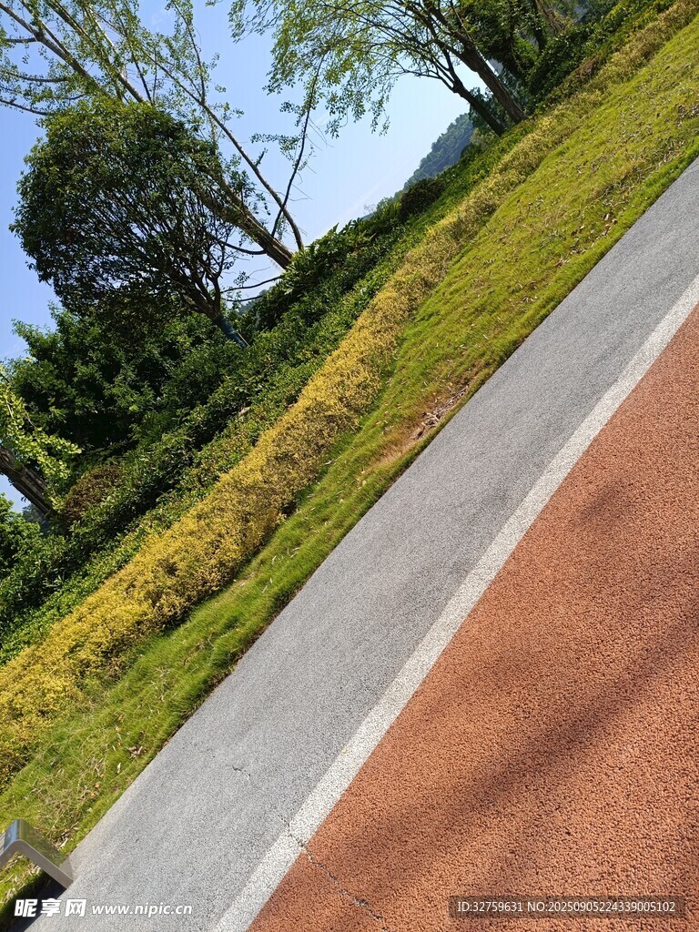 户外彩色步道与绿植景观