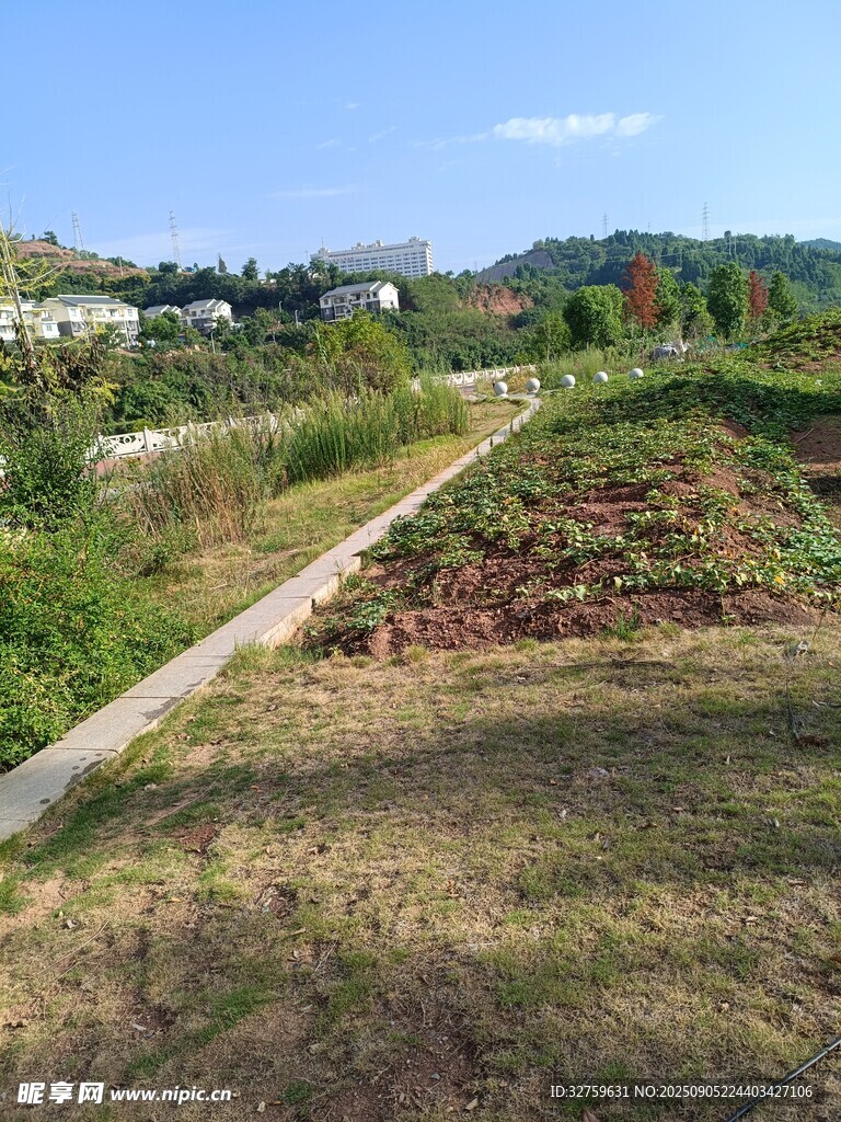 乡村田野间的小道风景