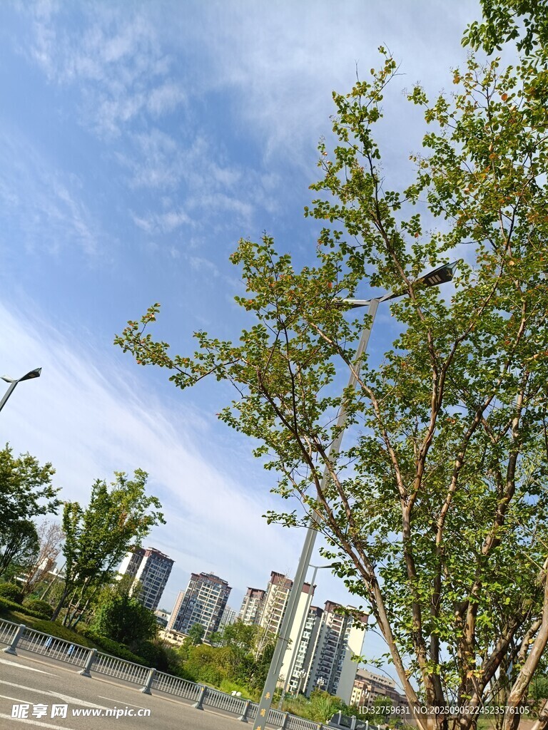 城市绿树蓝天风景图