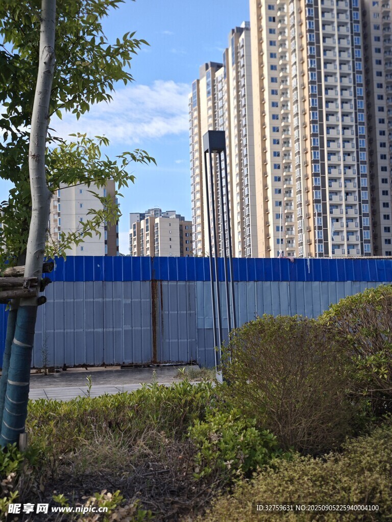 城市高楼旁的绿植景观