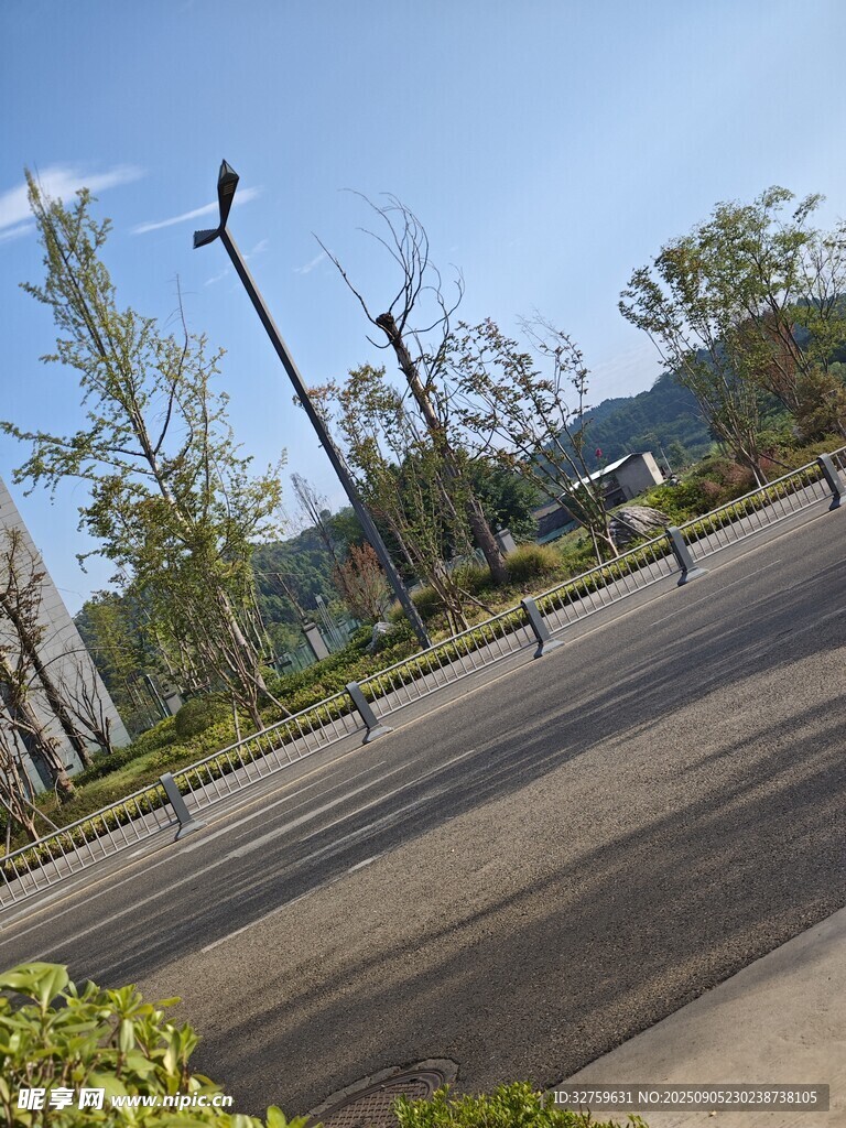 城市公园中的开阔道路景观