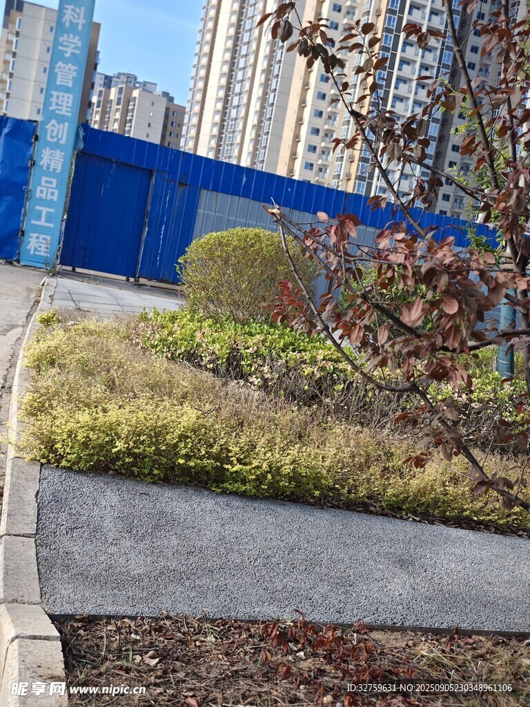 城市街边绿化带景观