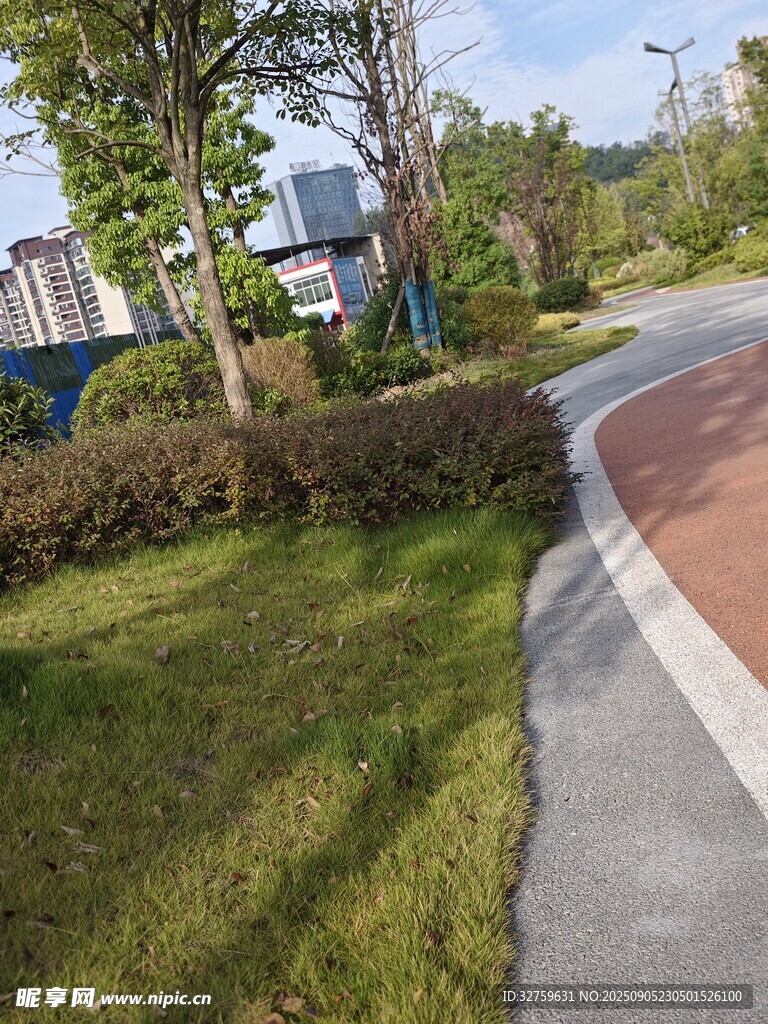 城市公园中的多彩步道景观